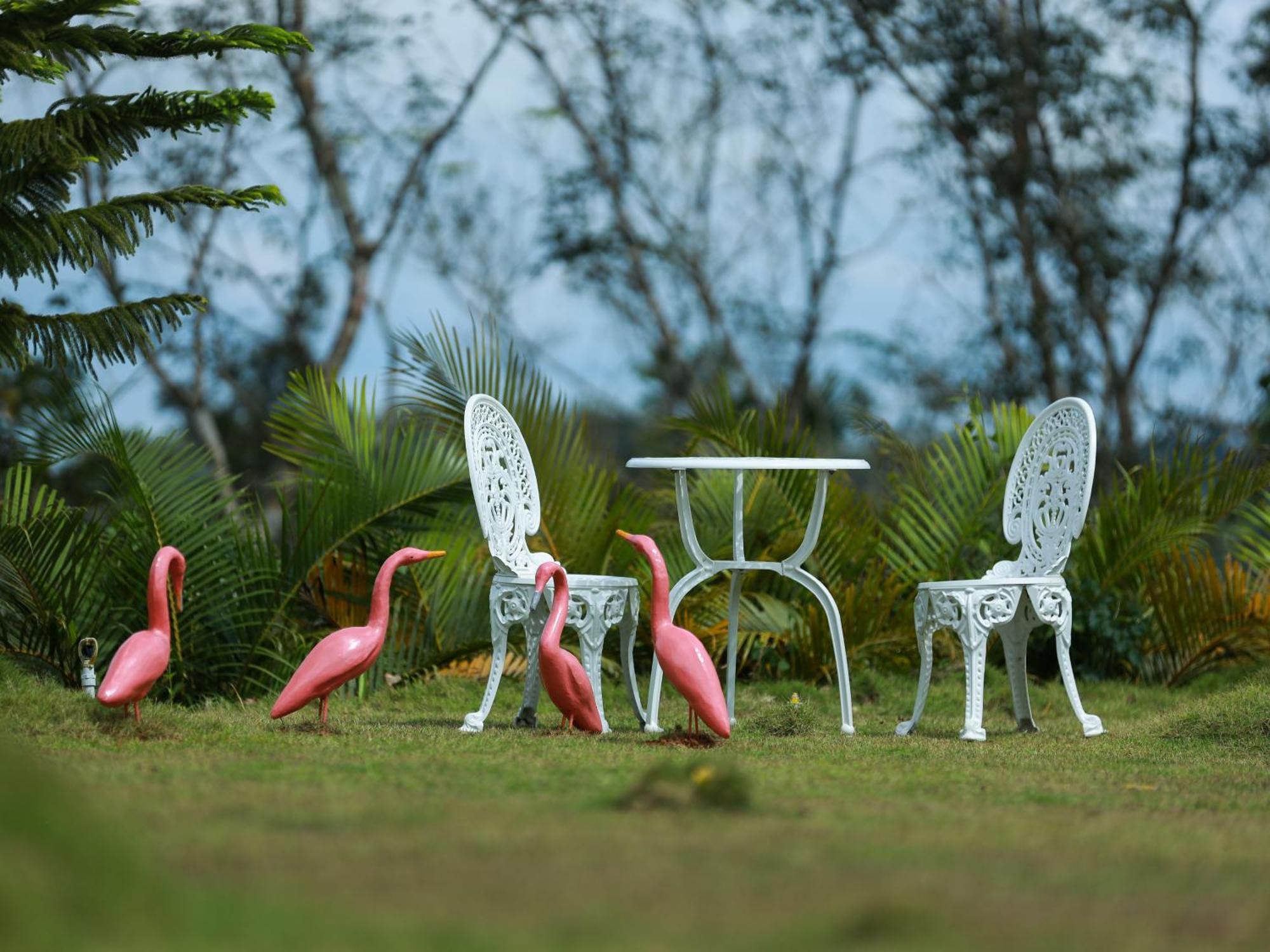 מאננטהוואדי Serene Crest Resort מראה חיצוני תמונה